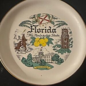 Debut Florida Peninsula State Plate with Green and Yellow Accents